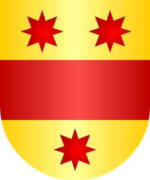 ESCUDO ALEATORIO